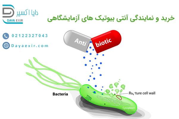 آنتی بیوتیک های آزمایشگاهی